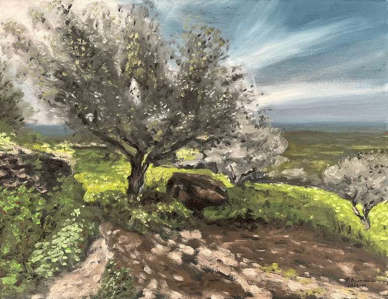 Olive tree. Oil on canvas, 35 cm x 45 cm. November 2024